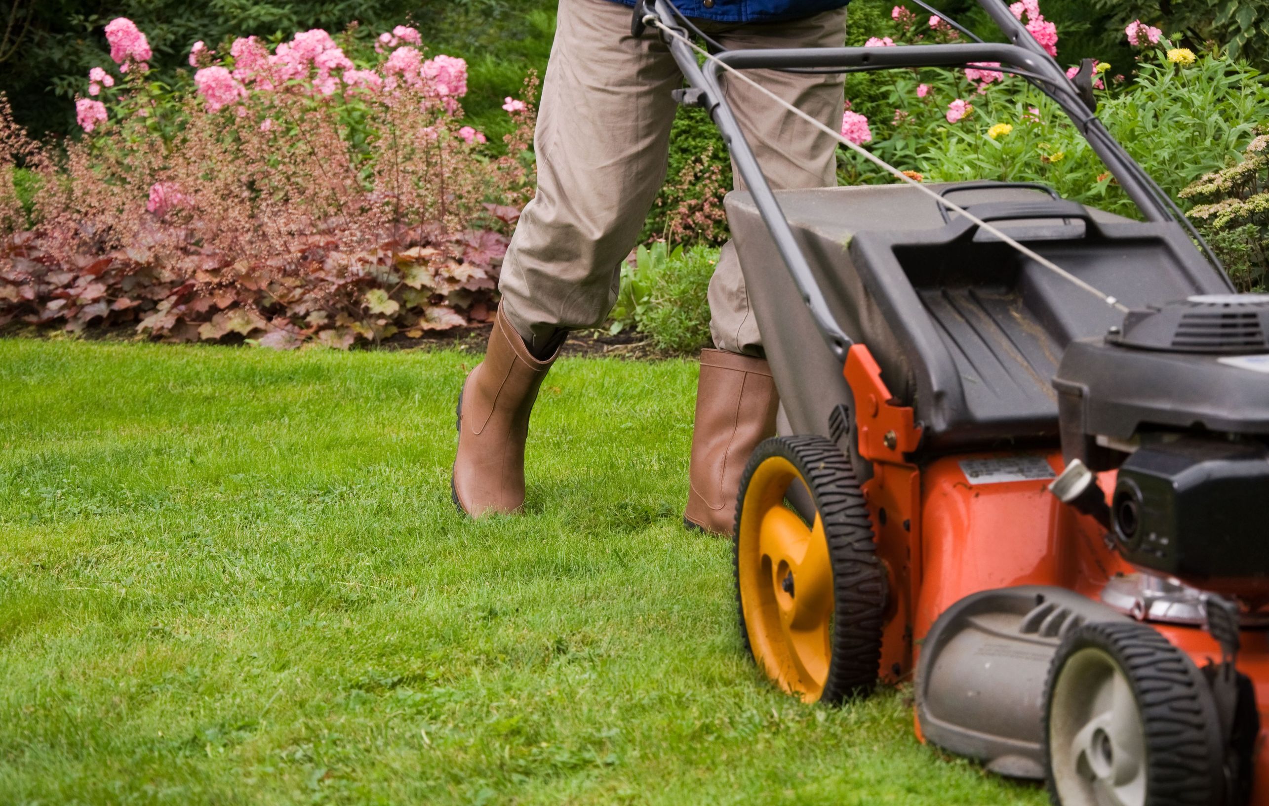 What Professional Landscapers Can Do For Your Yard