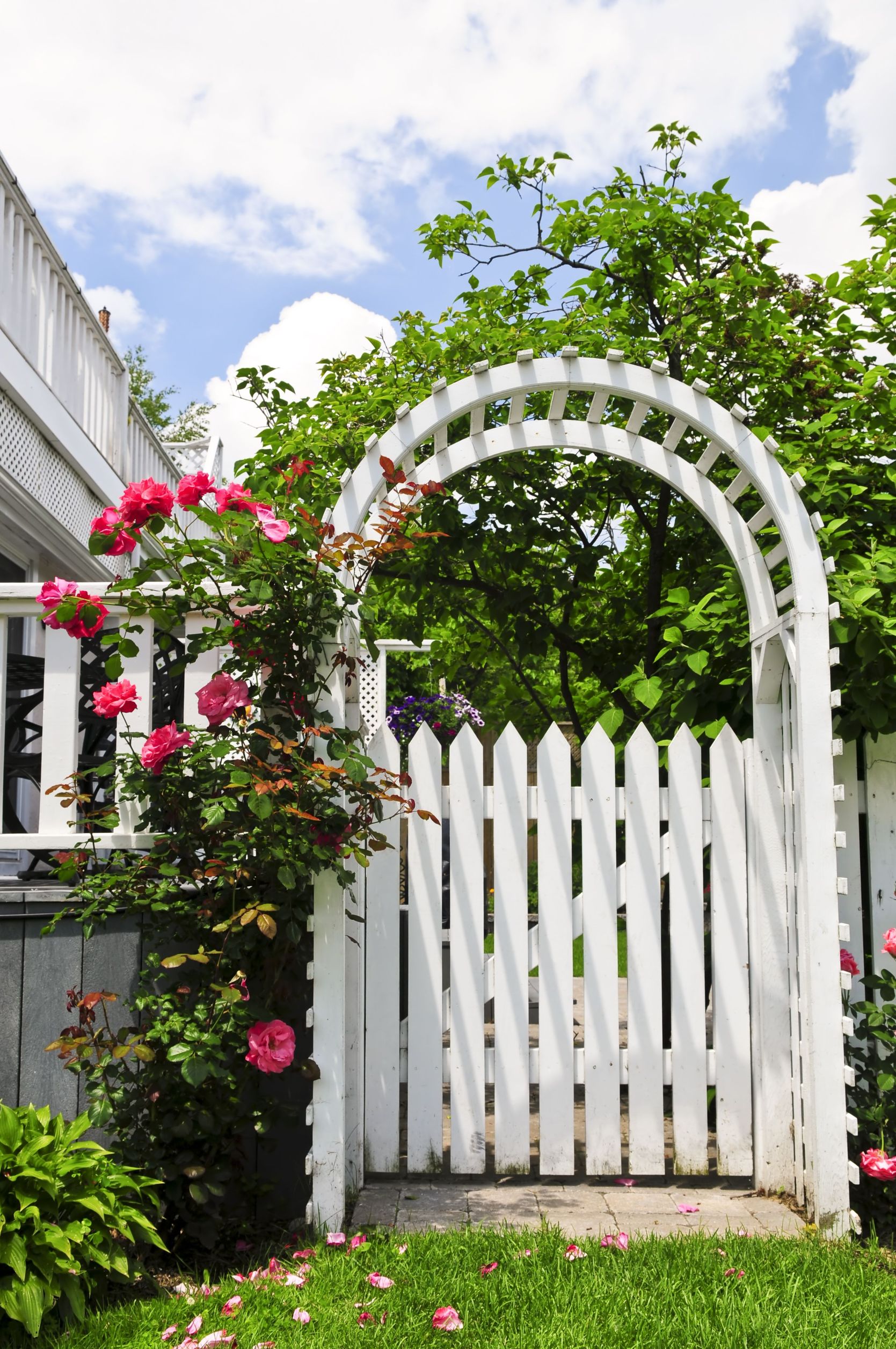 What A Fencing Contractor In Nassau County Could Offer You