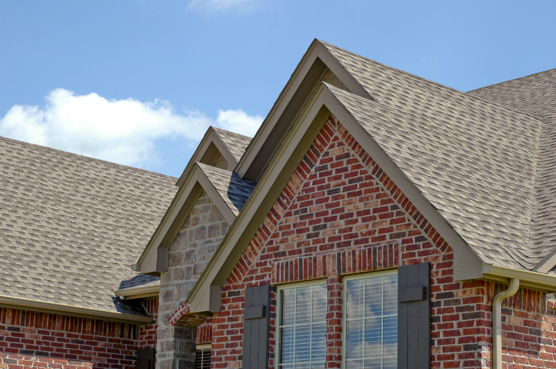 What to Do When You Think You Need a New Roof