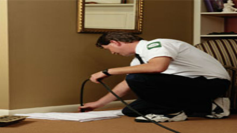 Using Pest Control Services in Boynton Beach Florida When Ants Are In A Home