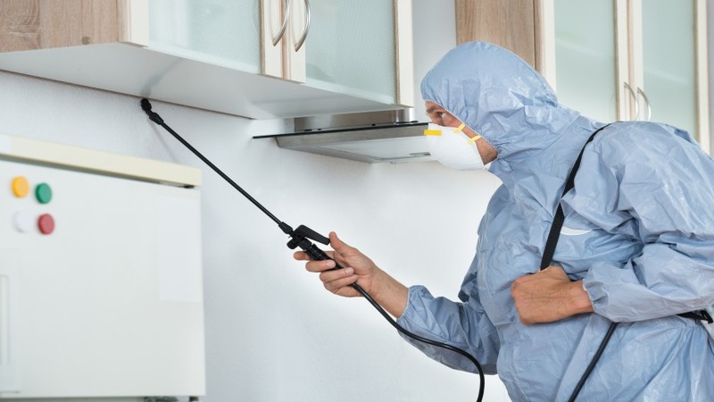 For Any Kind of Pest in the Home Call a Pest Management Professional in Alexandria, VA