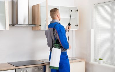 The Various Types Of Pest Control In Menifee CA