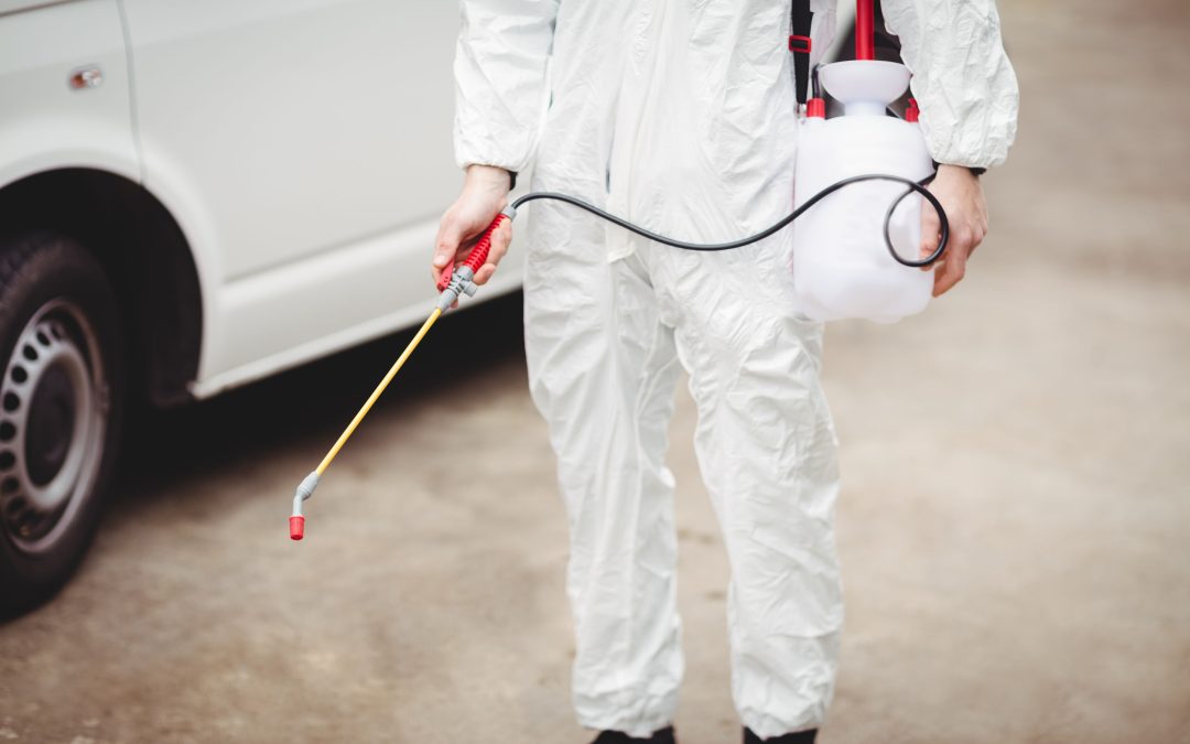 Home pest control in Minnesota: long-term solutions for a pest-free home