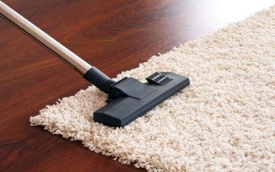 Why You Need Carpet Cleaning In Rhode Island