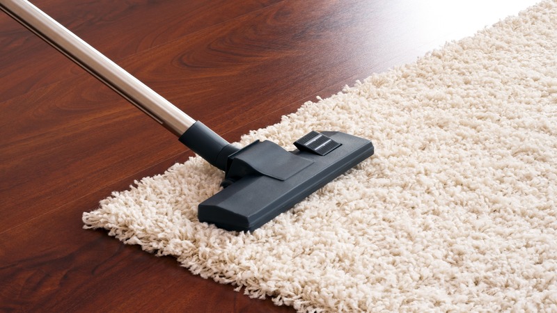 Why You Need Carpet Cleaning In Rhode Island